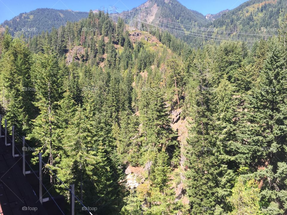 Wood, Nature, Mountain, No Person, Tree