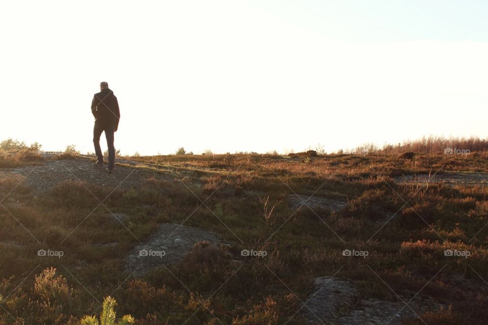 Swedish west-coast landscape 