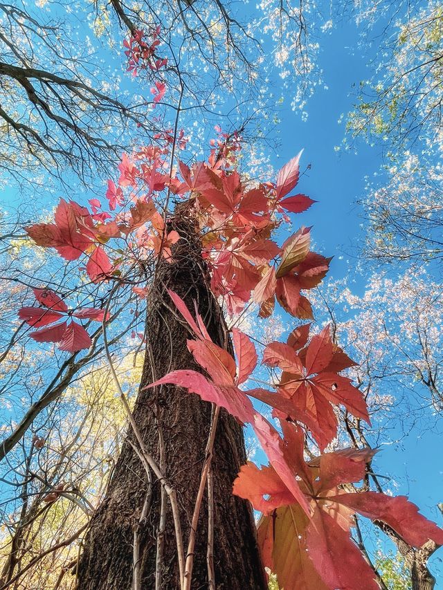 Beautiful Autumn morning 