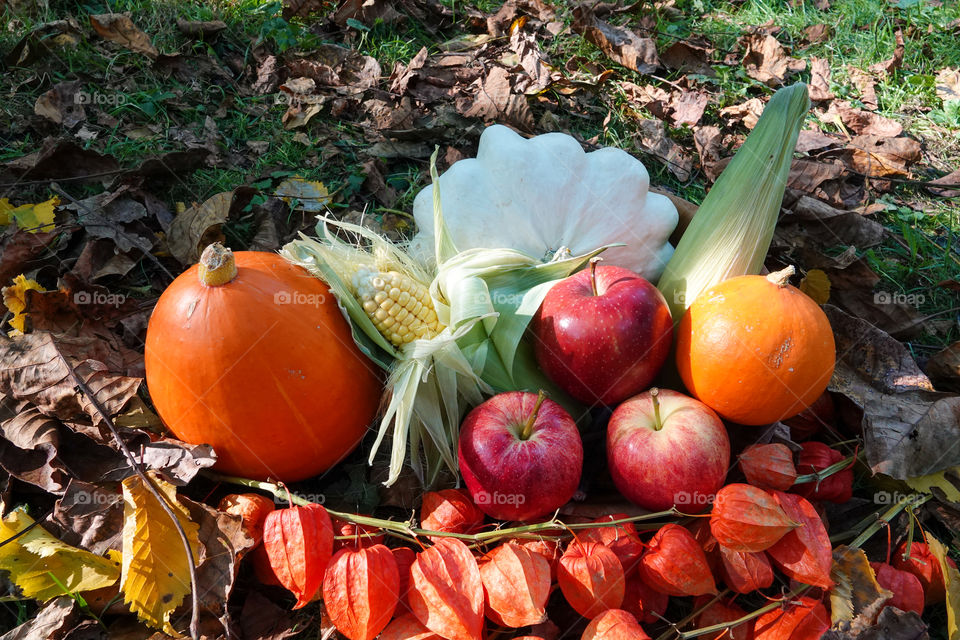 Fruits and vegetables typically harvested in the fall.