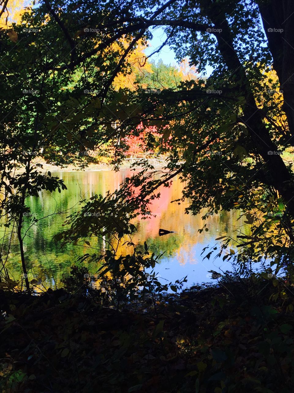 Fall at The Old Mill 