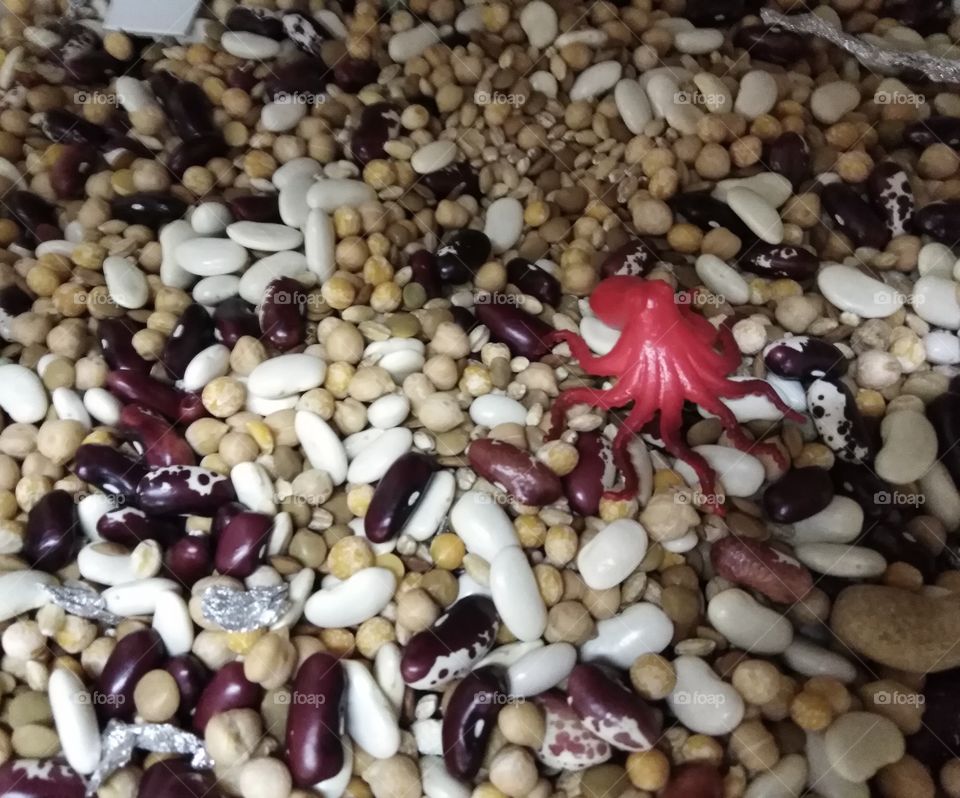 Фасоль для работы