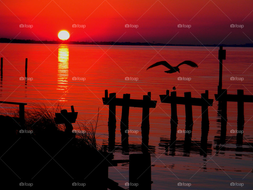 A lonely pelican flying thought a red sunset