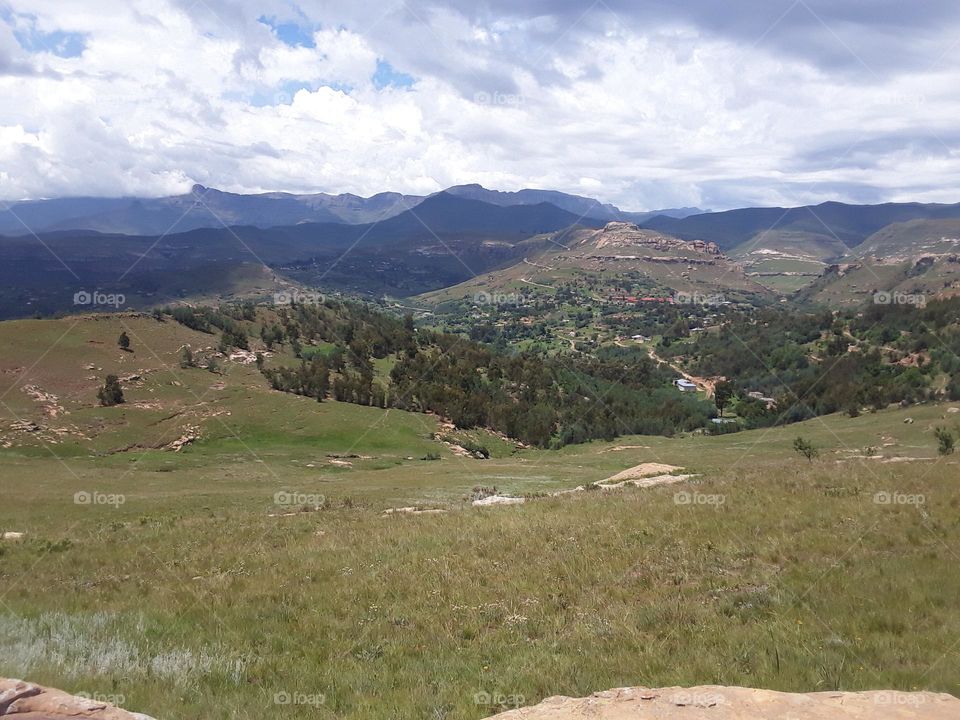 A grassland, forest and a view of mountainside in one.