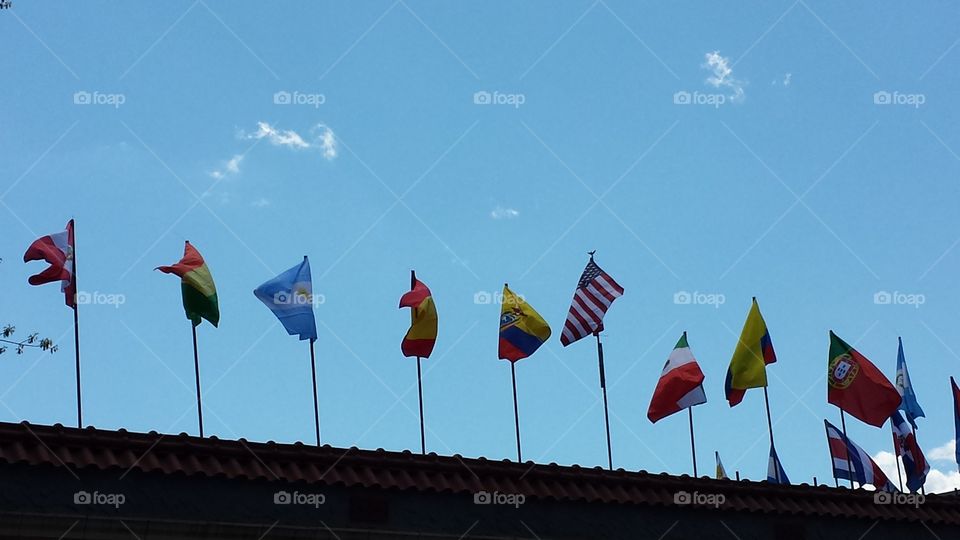 Diversity in Flags. Many flags over a local store