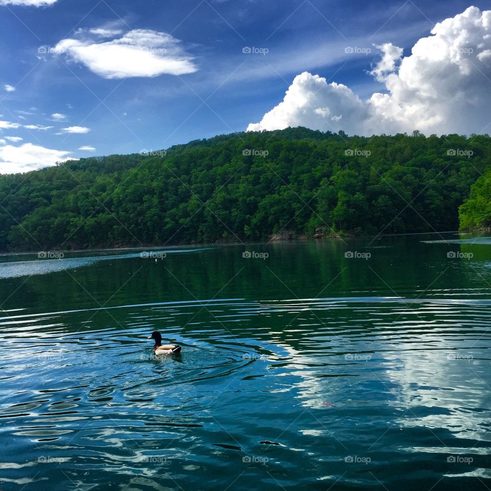 Easy Life at the Lake