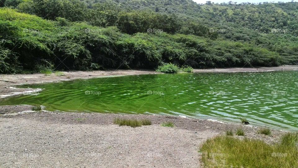 The green waters of Lonar crater