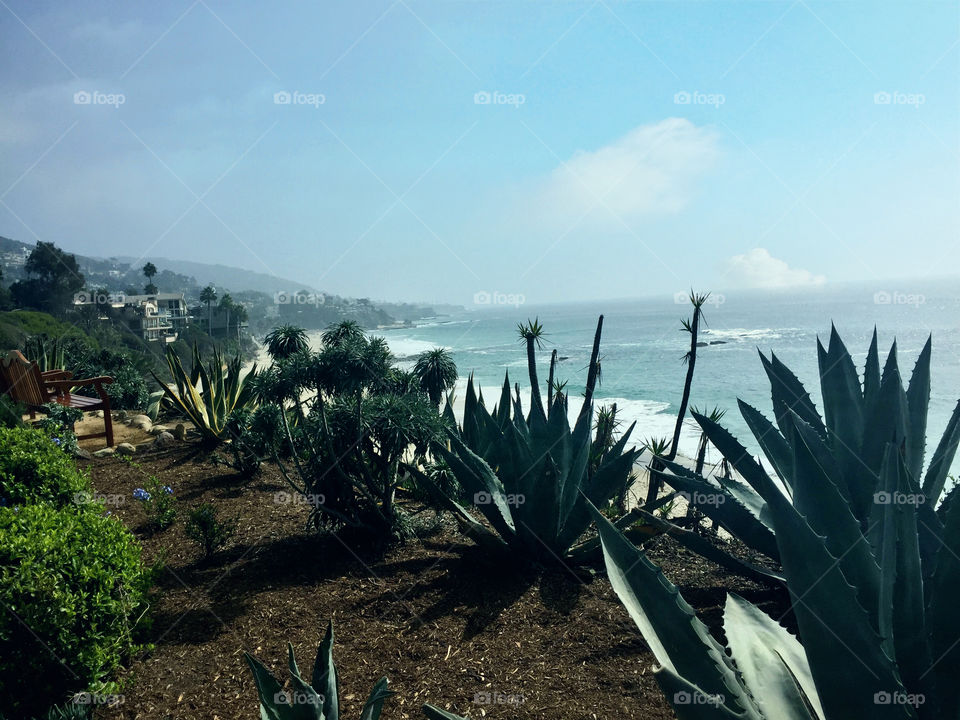 Beautiful view overlooking the Pacific Ocean 