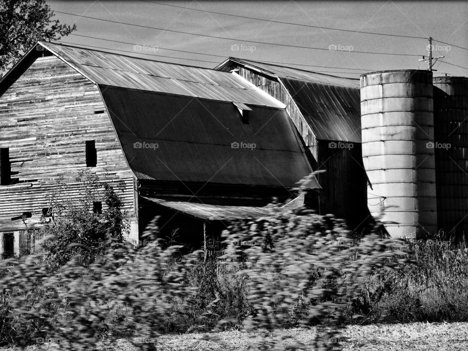 Black and white barn