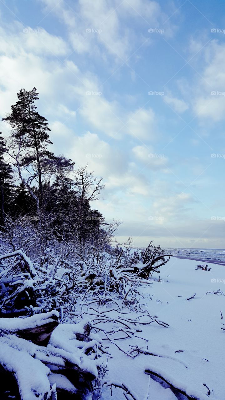 Winter on the beach.
