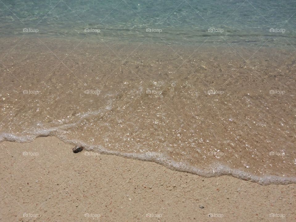 Closeup photo of seashore
