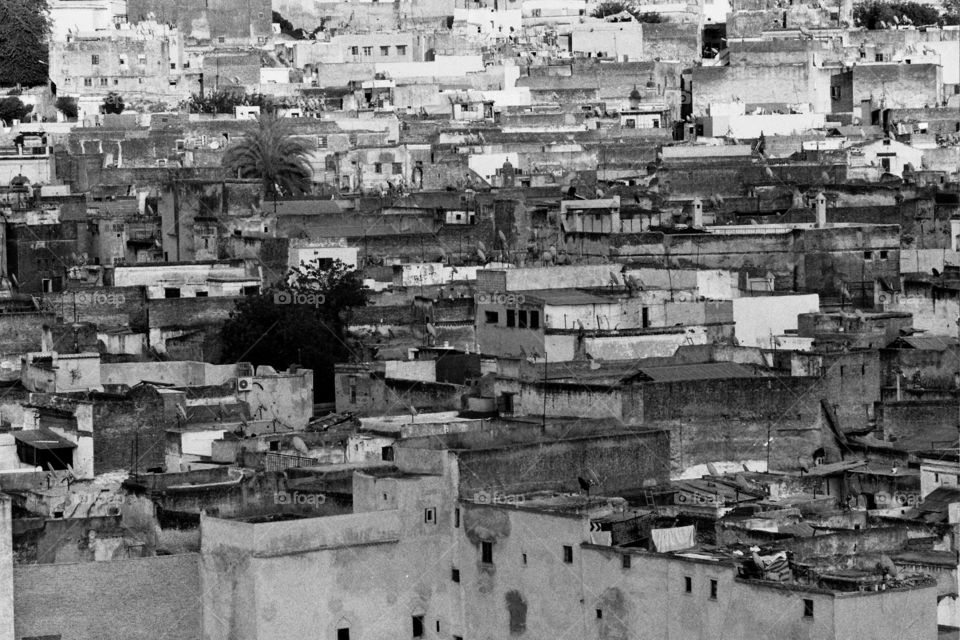 Minolta X300 35mm film.
Fez, Morocco
