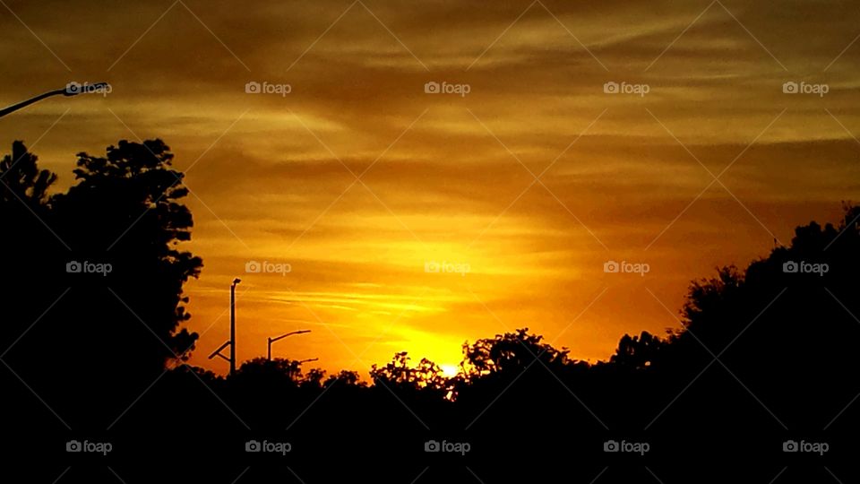 Florida Orange Sunset