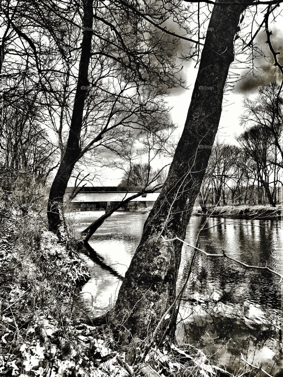Black and white of the river. 
