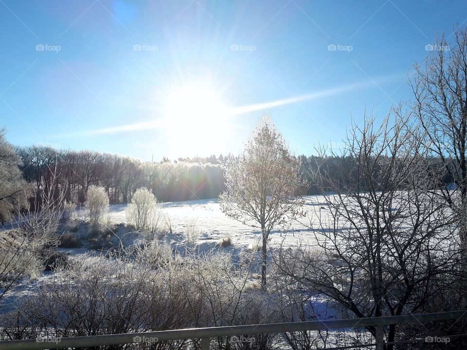 winterwonderland with sun and snow