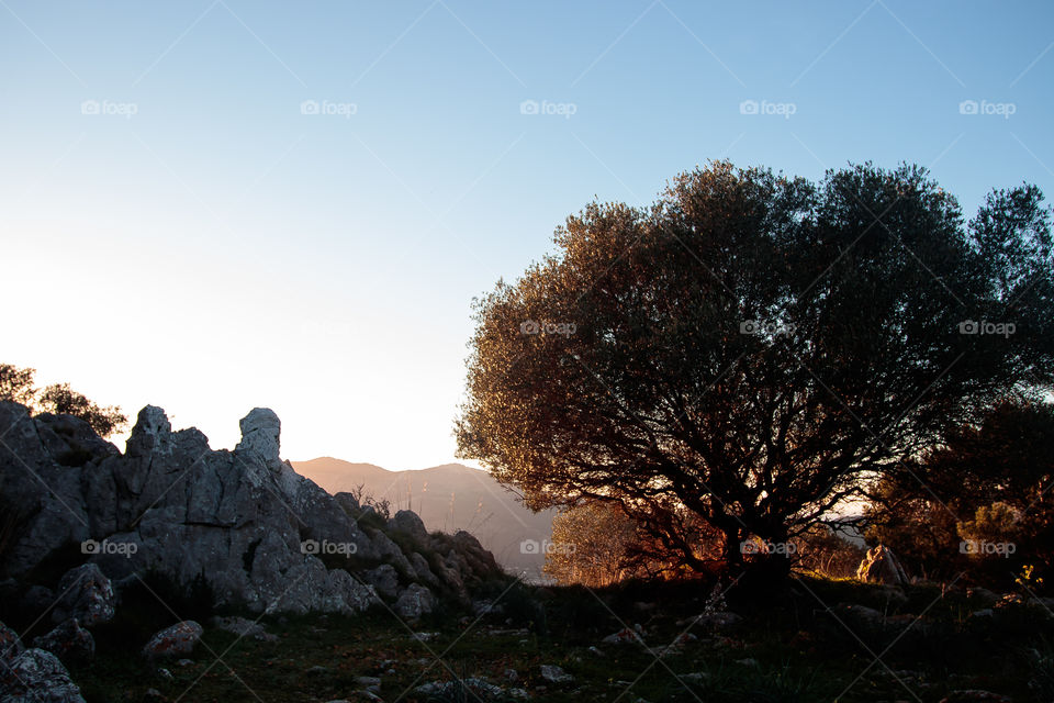 Palermo, View, Beautiful
