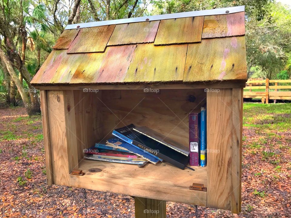 Outdoor library box