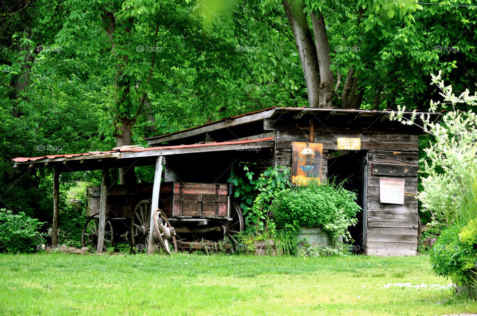 Rabbit hash