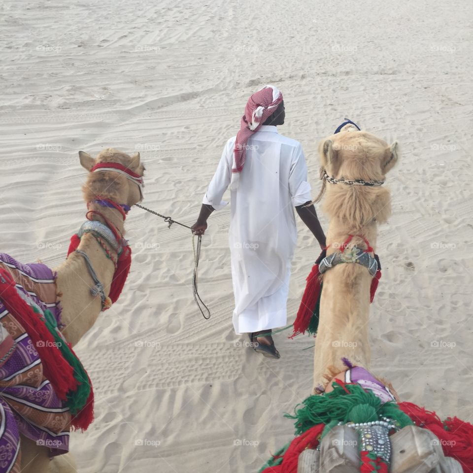 Camel Ride