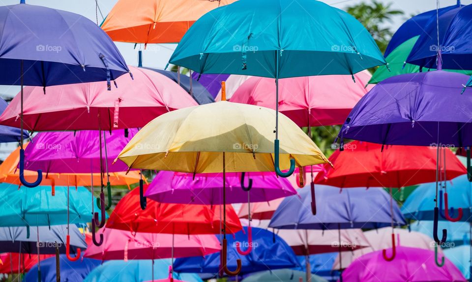 Colorful umbrellas 