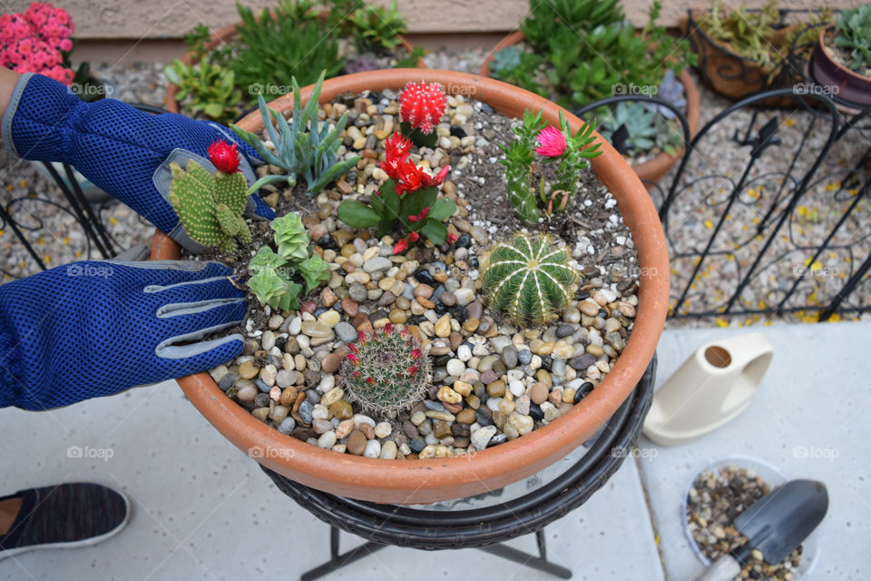 Container gardening