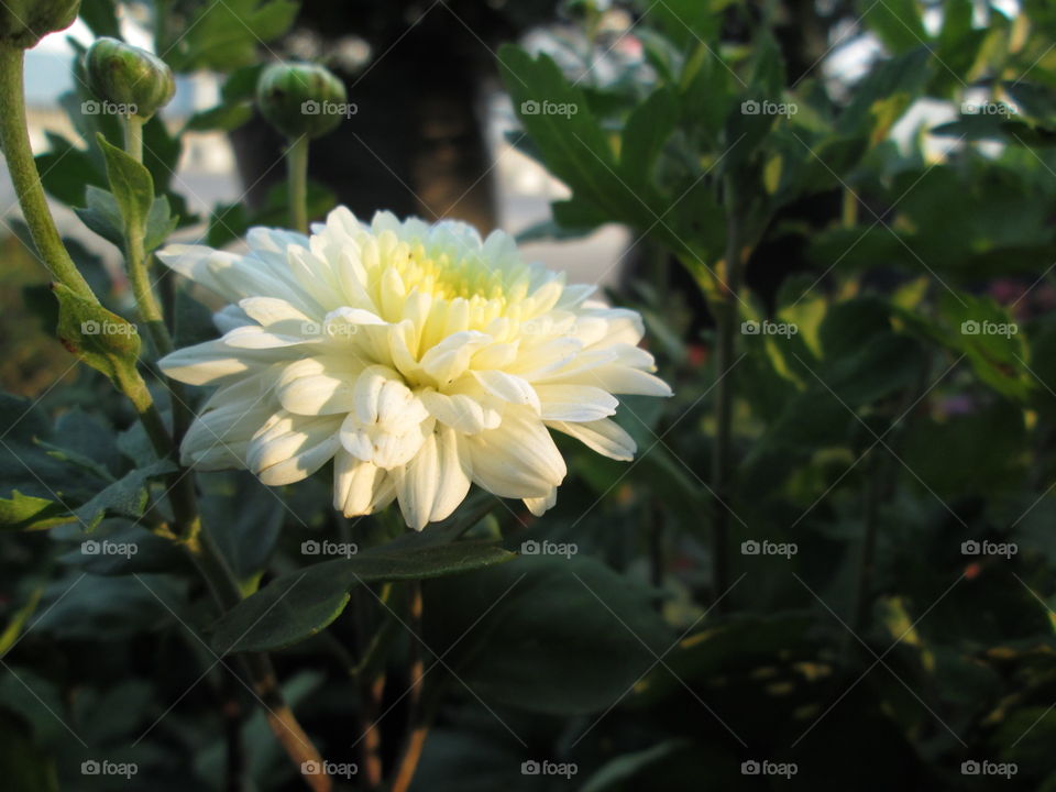 IT'S Evening TIME!!!!;!!!!!