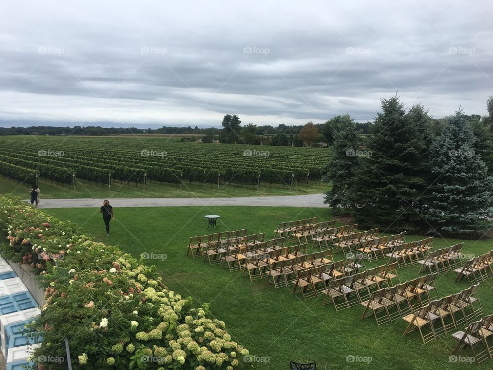 Vineyard wedding, ceremony cloudy day, green field