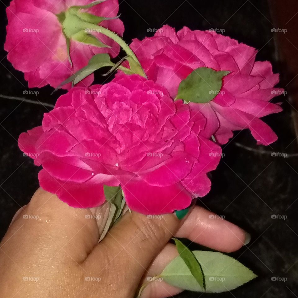 upload photo of the week