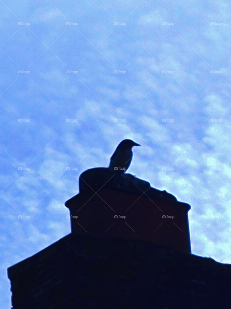 Bird silhouette on Chimney
