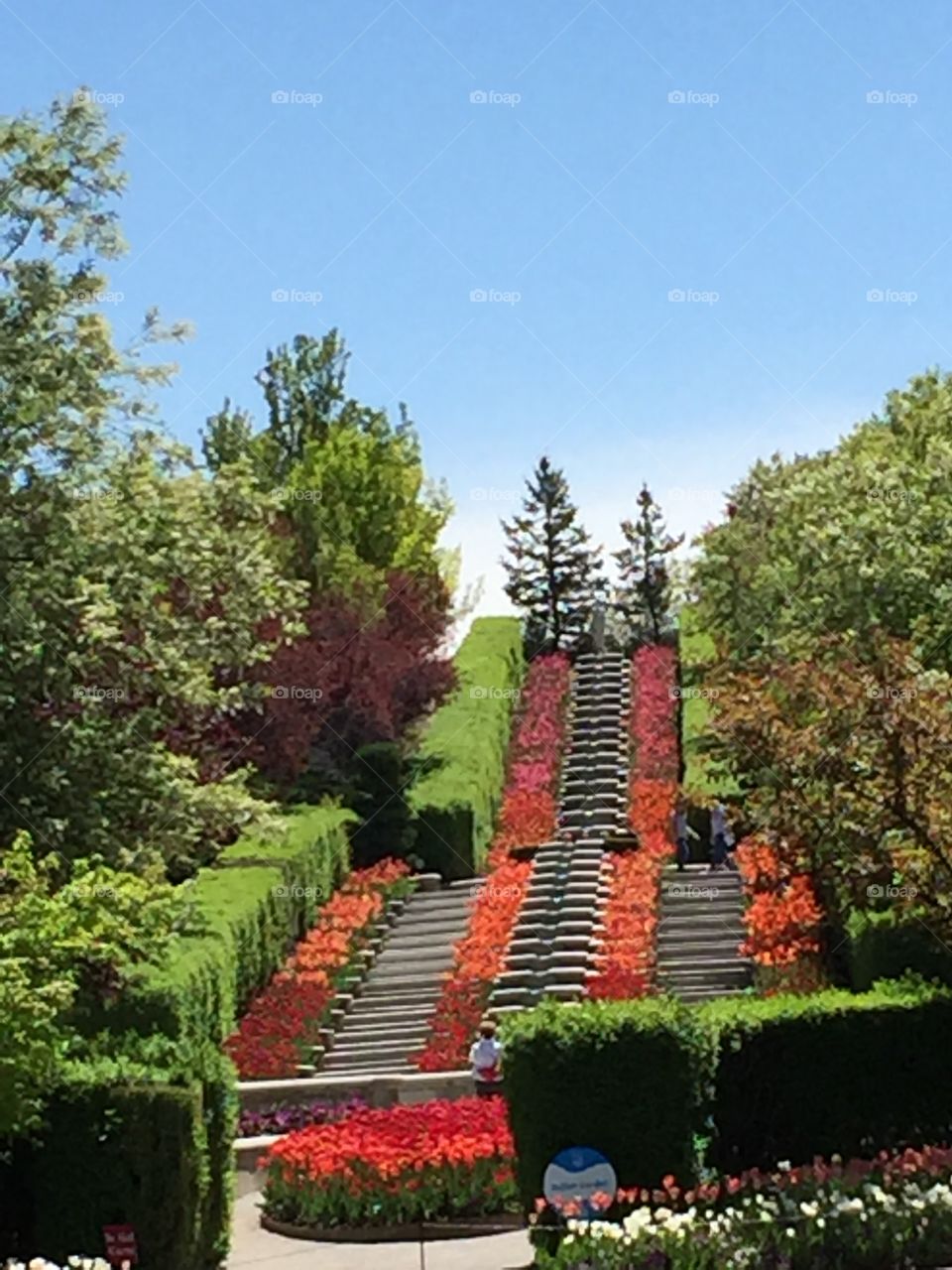 The Tulip Festival, Italian Garden at Thanksgiving Point. Lehi, Utah. Copyright © CM Photography 2019.