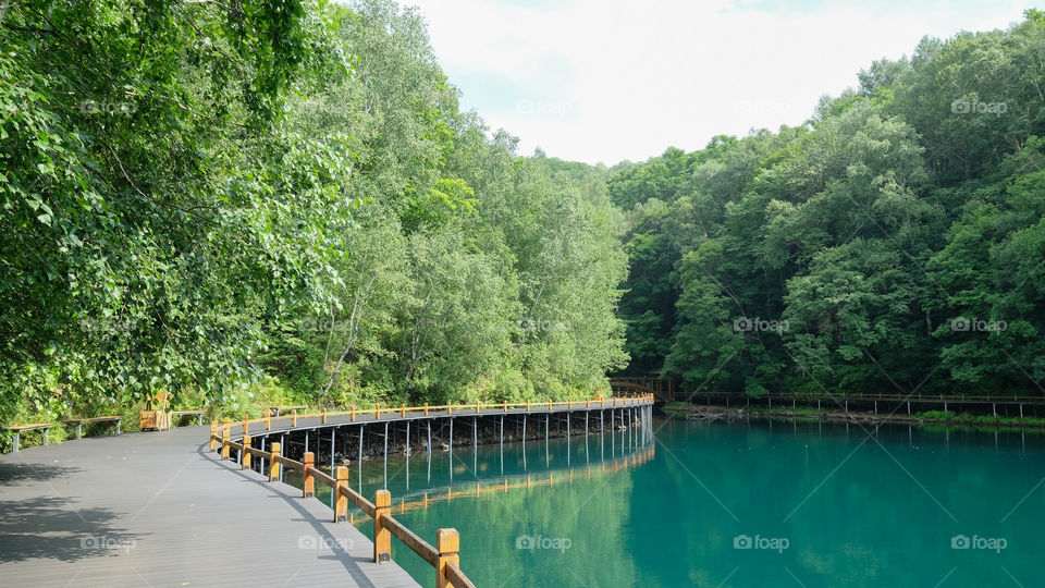 a verdant volcanic lake