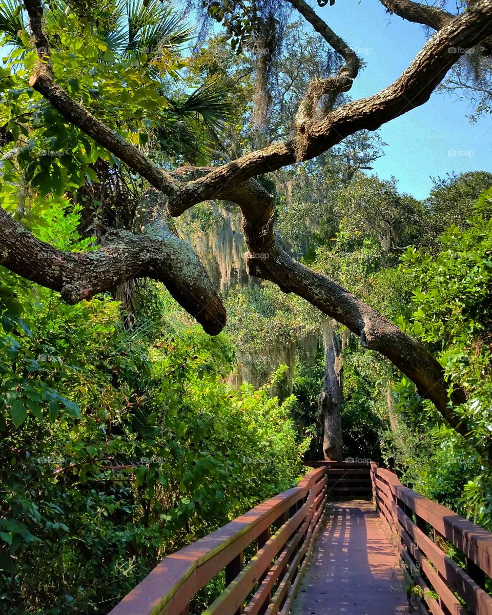 Bridge at timucuan ecological and historic preserve