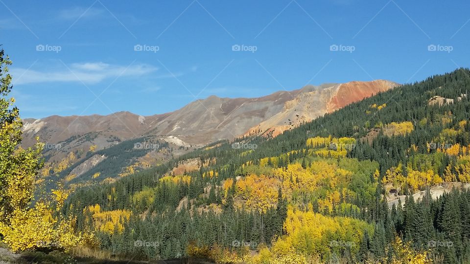 Wood, Mountain, Scenic, Nature, Fall