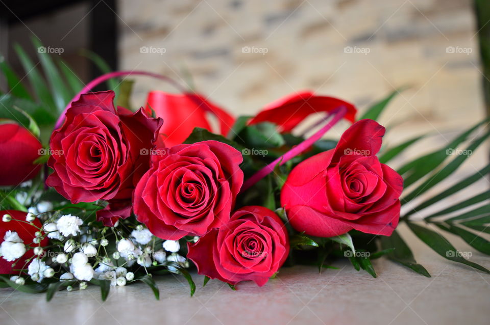 Red roses on Valentine's Day