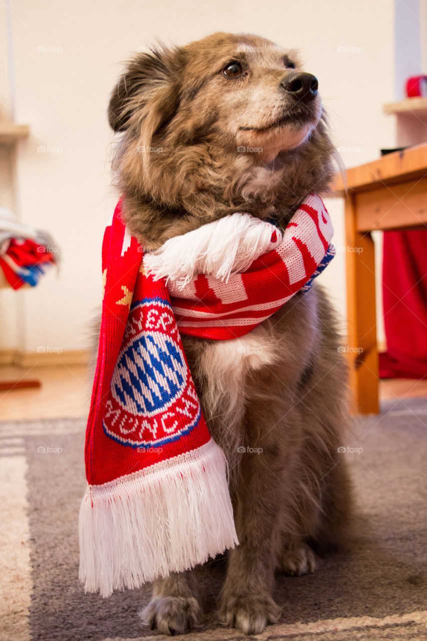 Fc bayern fan scarf