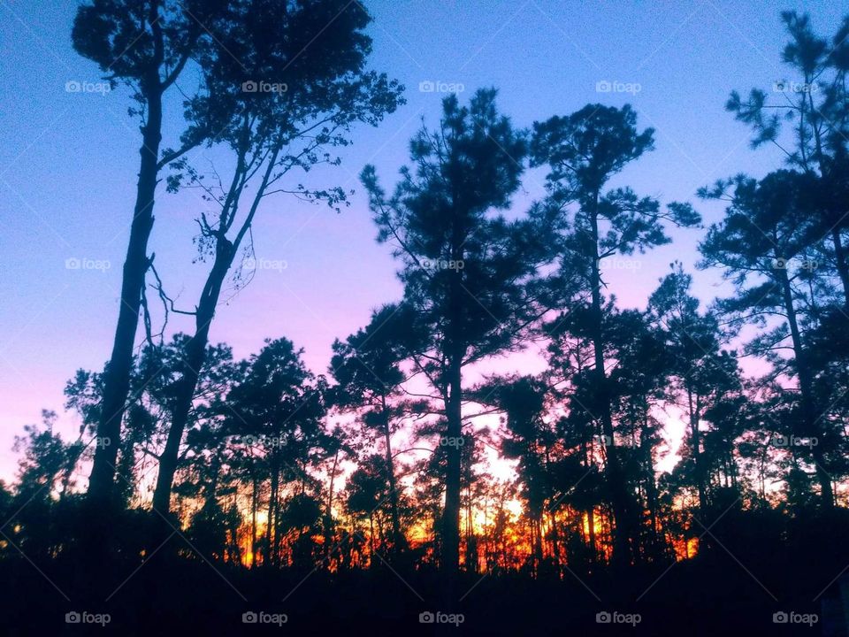 backyard texas sunset