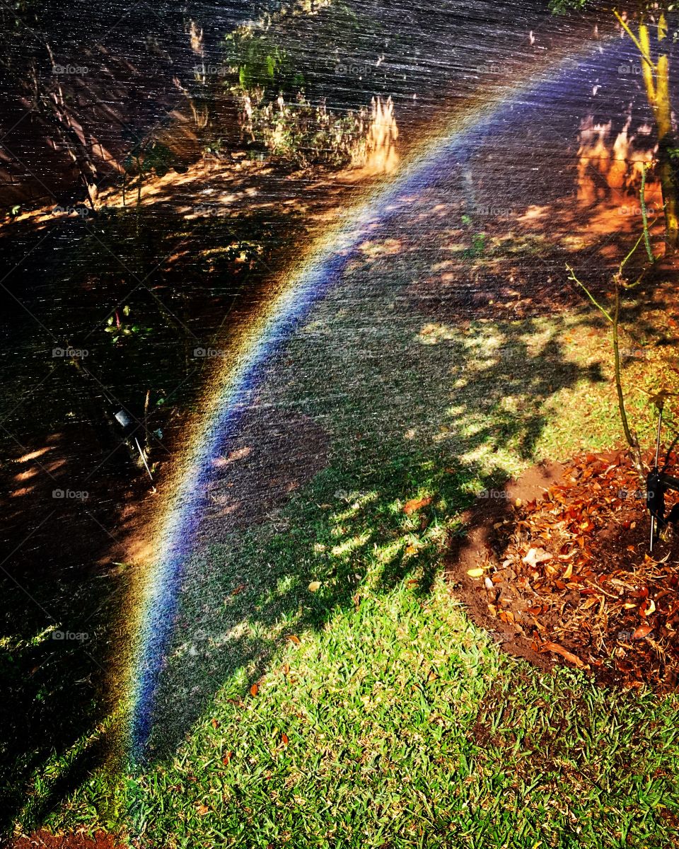 Chuva da Primavera, deixando tudo muito mais fresco em nossa vida! 🇧🇷/ Spring rain, leaving everything much fresher in our life! 🇺🇸