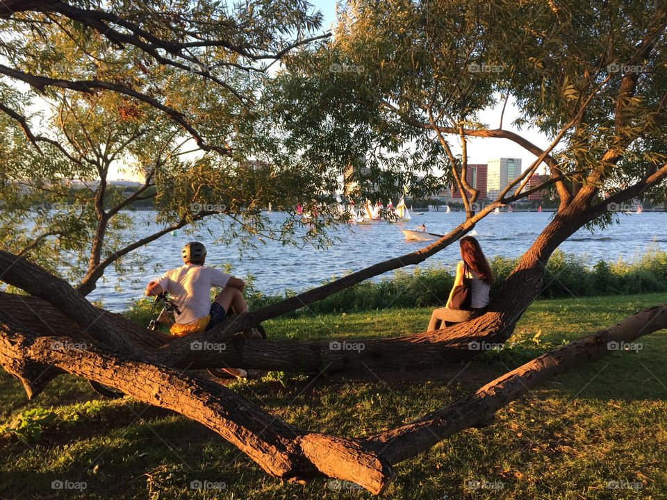 Couple sitting on a branch of a tree looking out over a river at sunset 