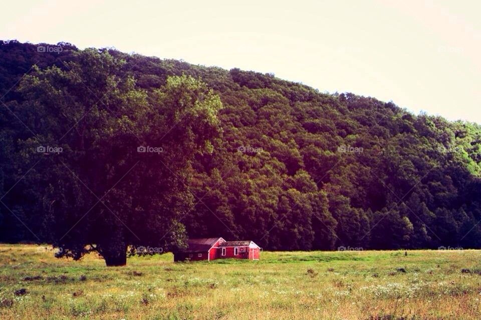 Little old barn