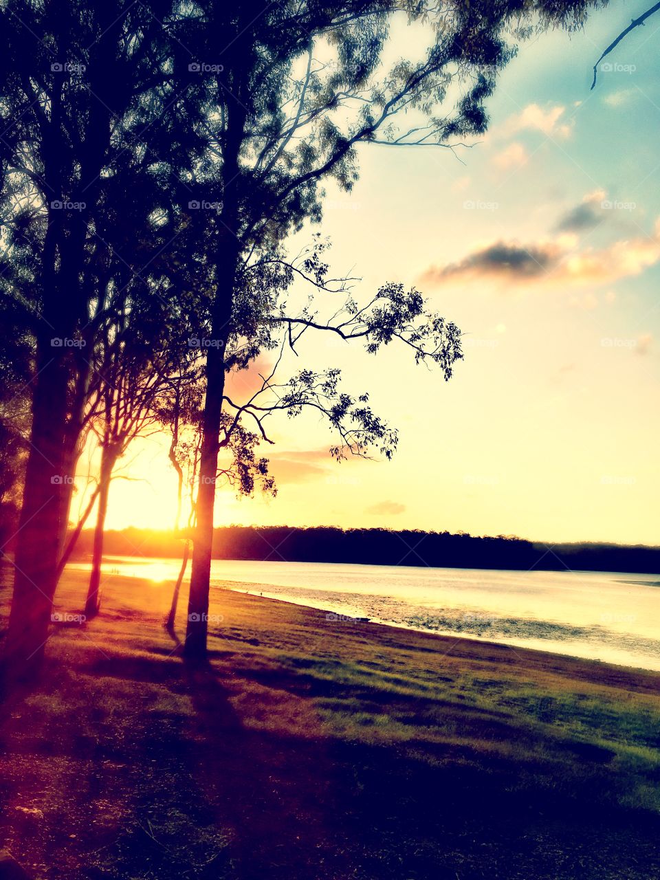 Sunset on Pine
