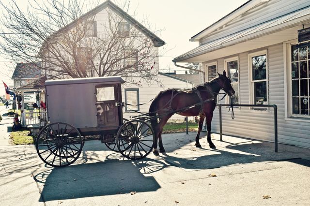 Amish Delight