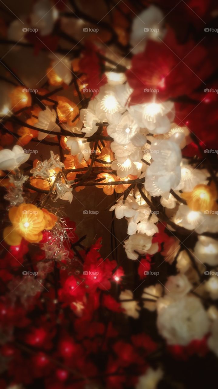 Lighted flower display.