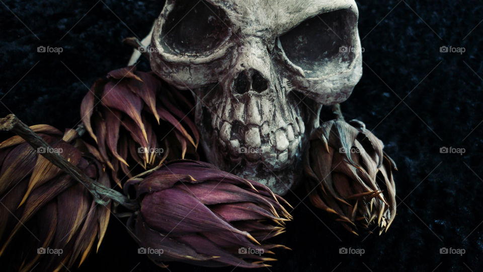skull and thorns