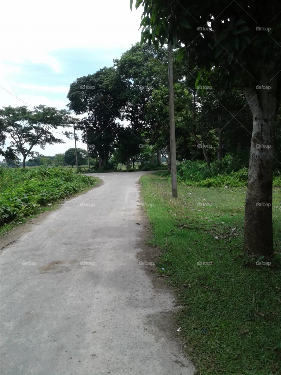 Road