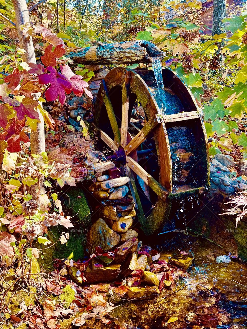 The Colors of Autumn - A paddle wheel carries water as it goes around in circles is surrounded by colorful foliage 