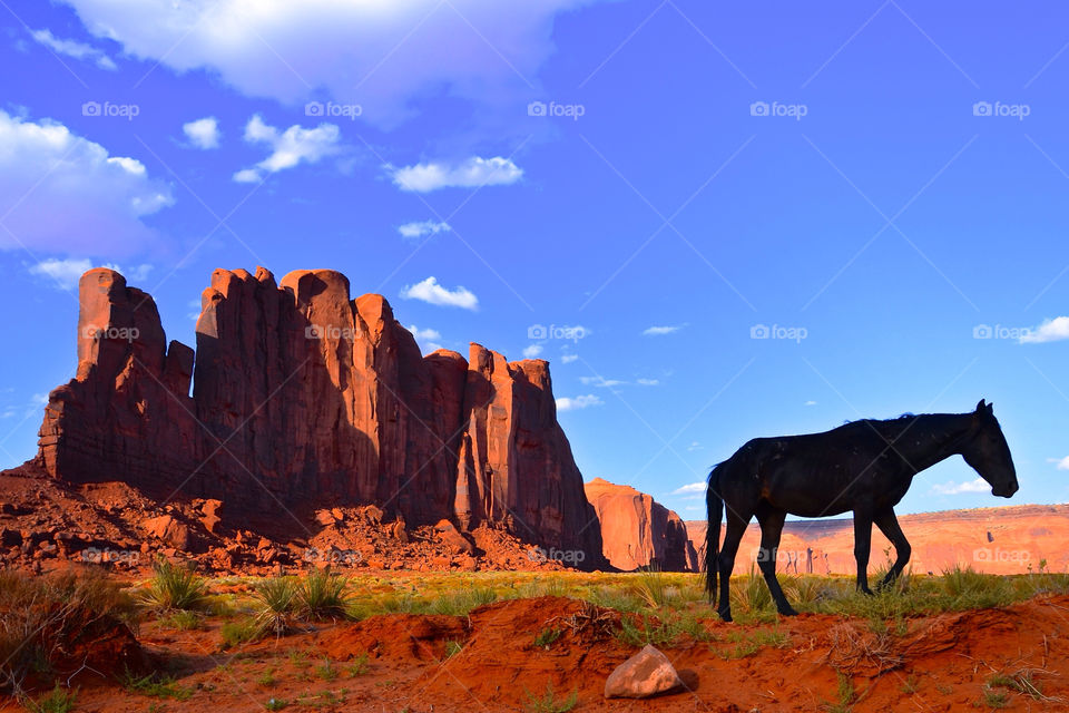 landscape sky black horse by anchor3n1