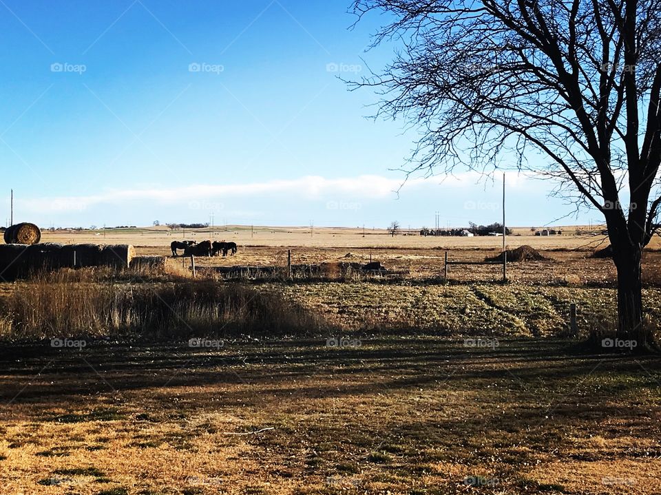 Farm in Nebraska 
