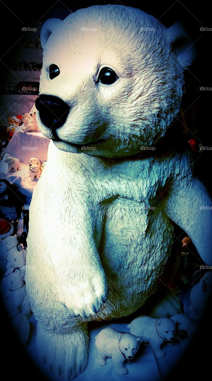 I just want to be your polar bear