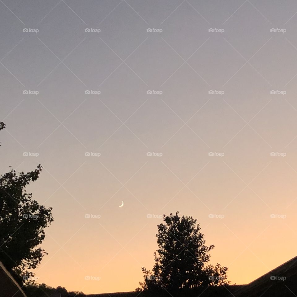 The moon as the sun sets