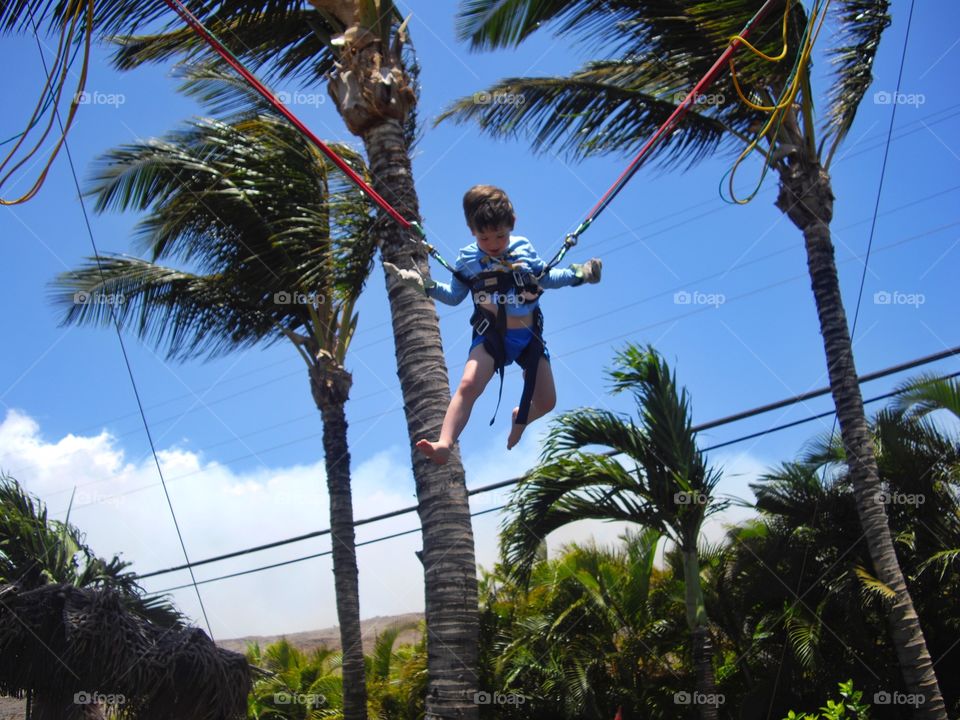 Boy On Bungee Swing
